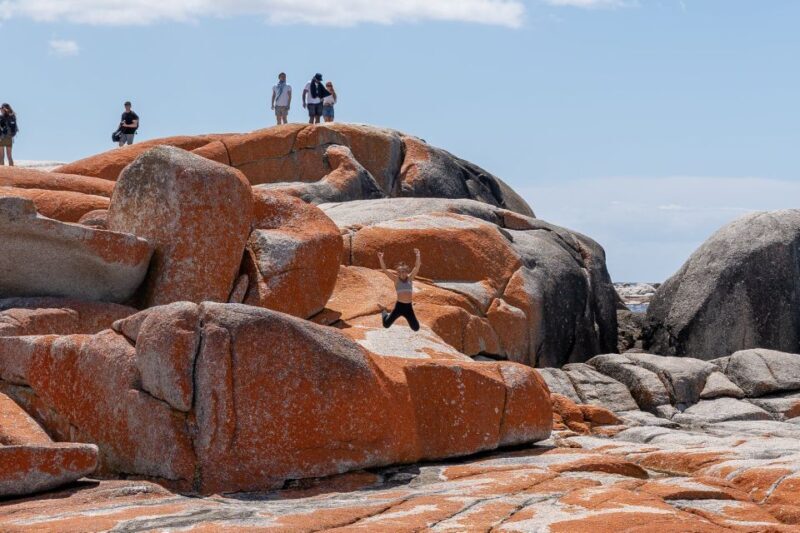 Tasmania: 7-Day West to East Tour - Key Points