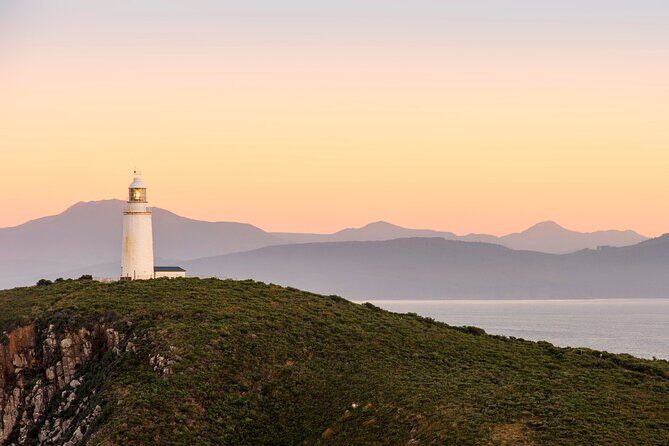 Tasmania 8 Day - Tour in Circle - Who Is This Tour Best For?