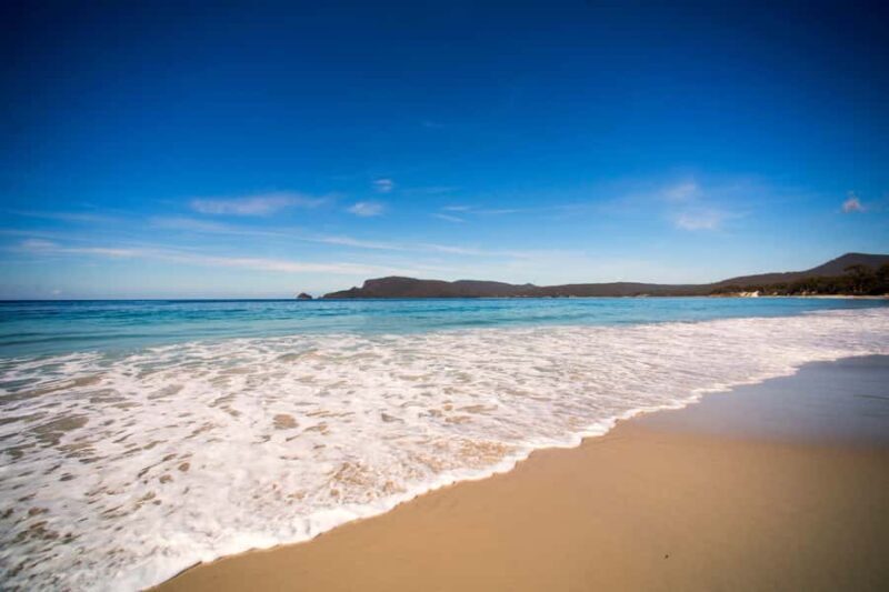 Tasmania: Private Luxury Tour with Custom Itinerary - Key Points