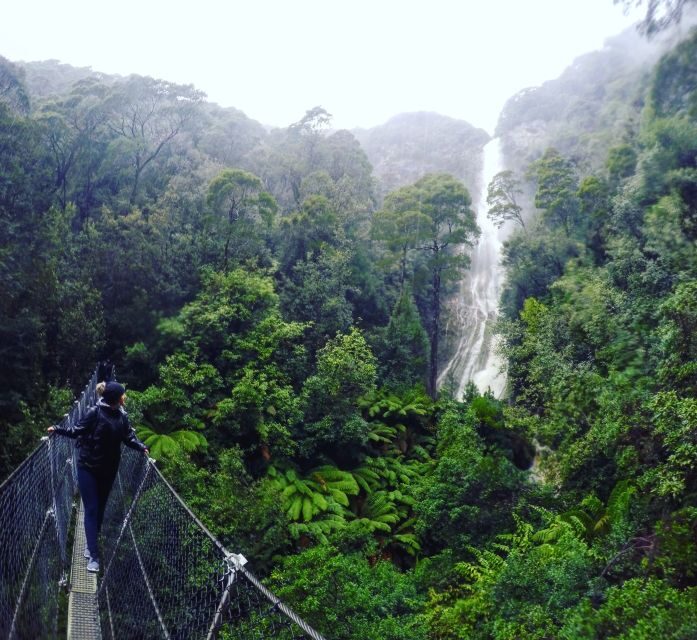 Tasmania: Wilderness and Wildlife Guided 6-Day Tour - Day 2: Wilderness of the West Coast