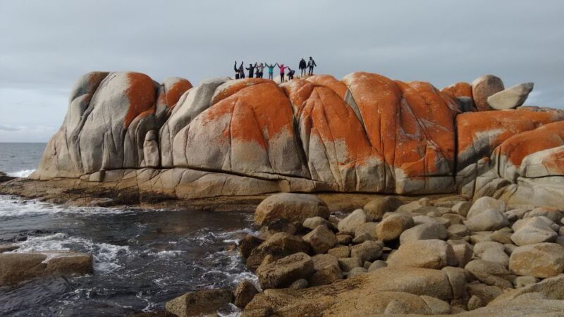 Tasmania: Wilderness and Wildlife Guided 6-Day Tour - Day 5: Freycinet National Park