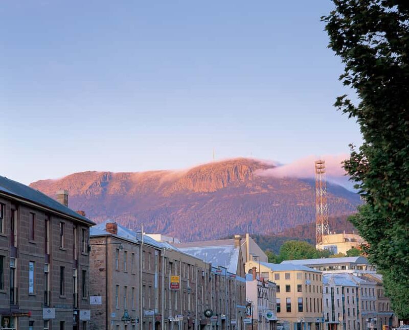 Tasmania: Wilderness and Wildlife Guided 6-Day Tour - Day 6: Wildlife and Scenic Return to Hobart