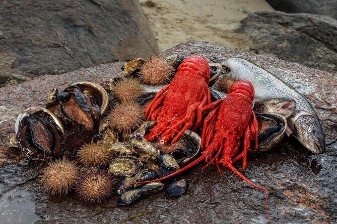 Tasmanian Seafood Gourmet Full-Day Cruise Including Lunch - Exciting and Authentic: A Dive into the Tasmanian Seafood Gourmet Full-Day Cruise