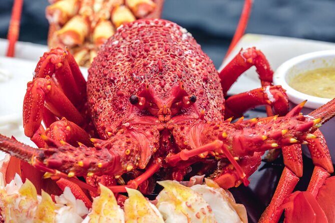 Tasmanian Seafood Gourmet Full-Day Cruise Including Lunch - FAQs