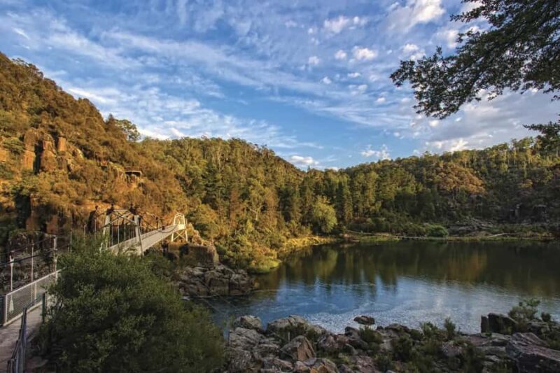 Tasmanias Cataract Gorge & Lavender Day - In-Depth Look at the Experience