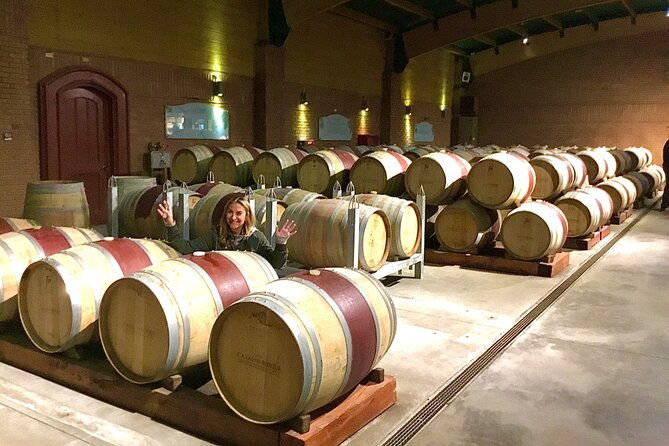 taste-10-types-of-wine-in-3-exceptional-casablancas-vineyards