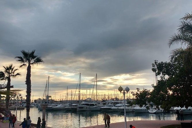 taste-alicante-guided-tour