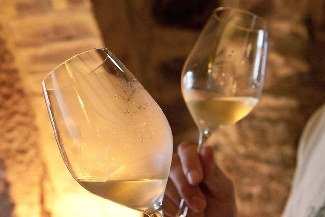 taste-alsace-tasting-of-our-alsace-wines-no-cellar-tour