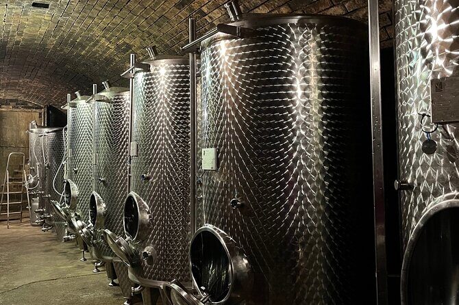 Taste and Tour Small Organic Wineries with a Winemaker - Final Thoughts: Is This Tour Worth It?