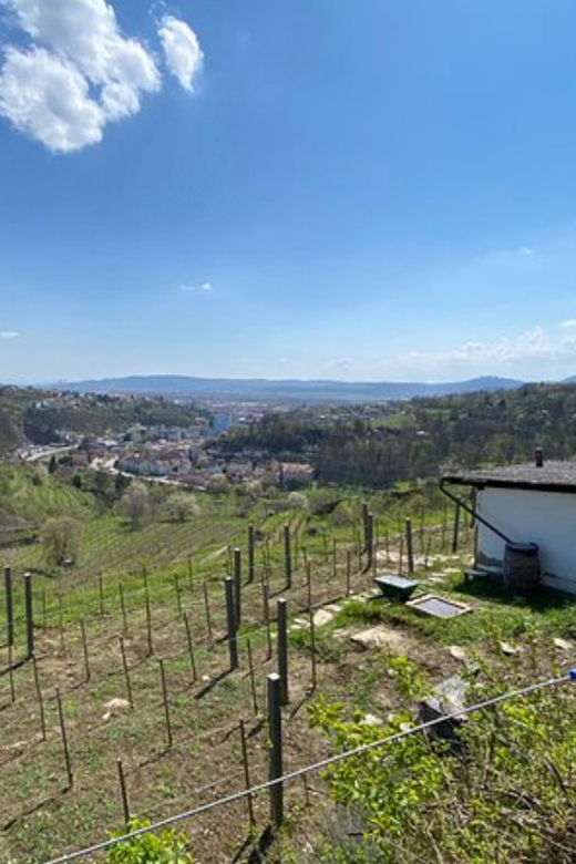 taste-and-tour-small-organic-wineries-with-a-winemaker