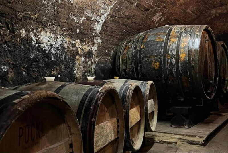 taste-and-tour-small-organic-wineries-with-a-winemaker