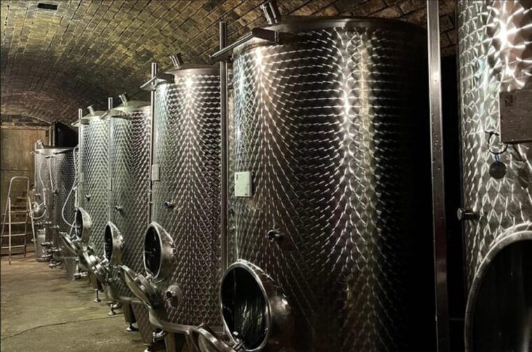 taste-and-tour-small-organic-wineries-with-a-winemaker