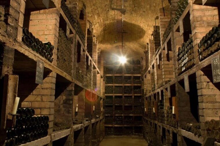 taste-and-tour-small-organic-wineries-with-a-winemaker