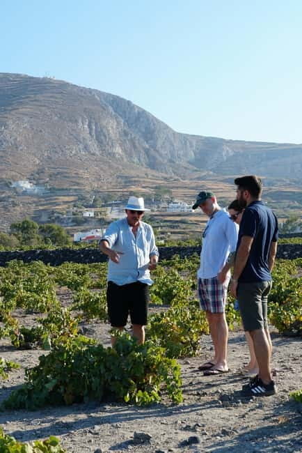 Taste & Create: Santorini Wine & Cooking Experience - FAQs About the Santorini Wine & Cooking Experience