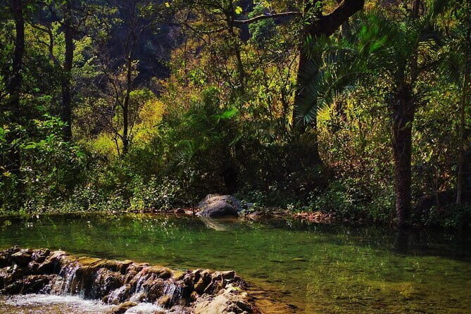 Taste Famous & Best Street Food of Old Delhi (Jama Masjid) - Who Is This Tour Best Suited For?