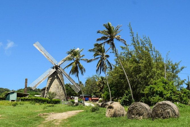 taste-of-barbados-full-day-sightseeing-tour