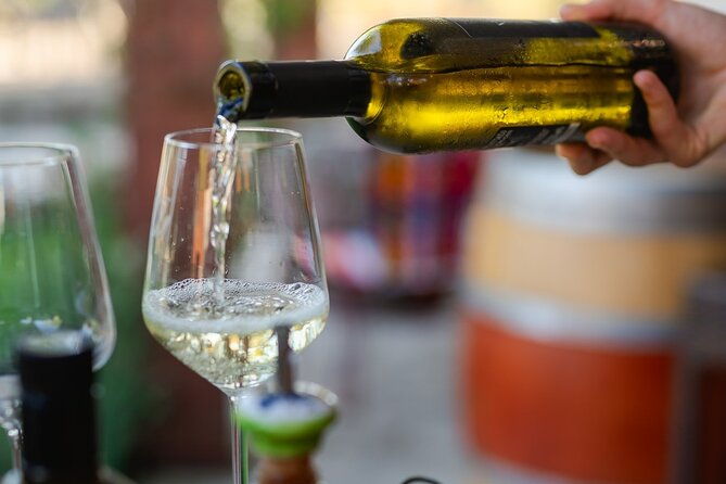 taste-of-istria-wine-brandy-vinegar-local-food-2