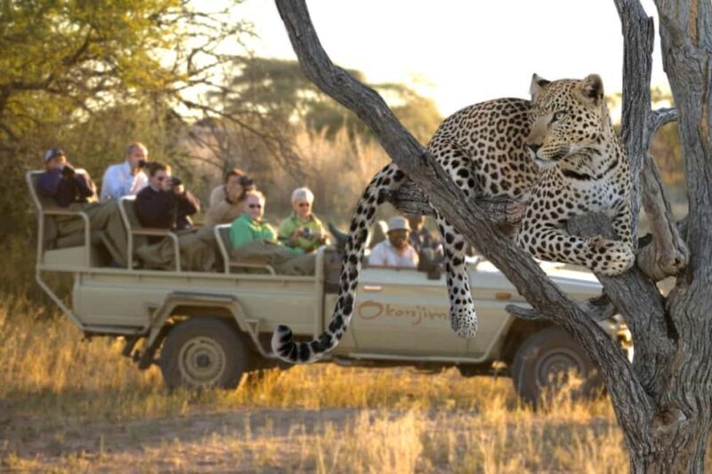 Taste of Namibia Adventure Tour - The Itinerary Breakdown: A Day-by-Day Look at the Adventure