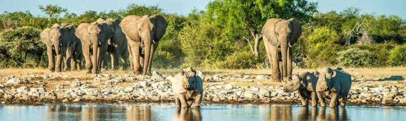 Taste of Namibia Adventure Tour - Practical Tips for Your Namibia Adventure