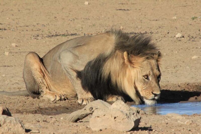 Taste of Namibia Adventure Tour - The Sum Up: Is This Tour for You?