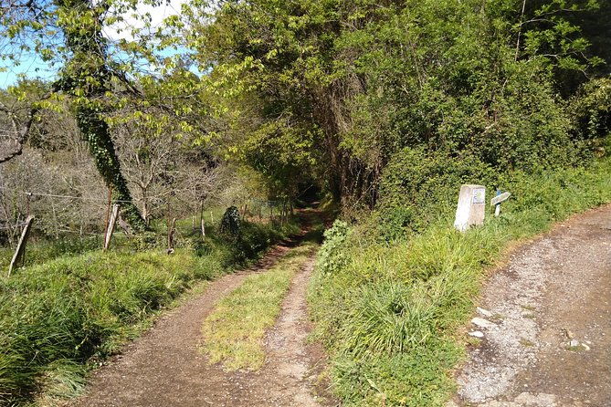 taste-of-the-camino-de-santiago-2