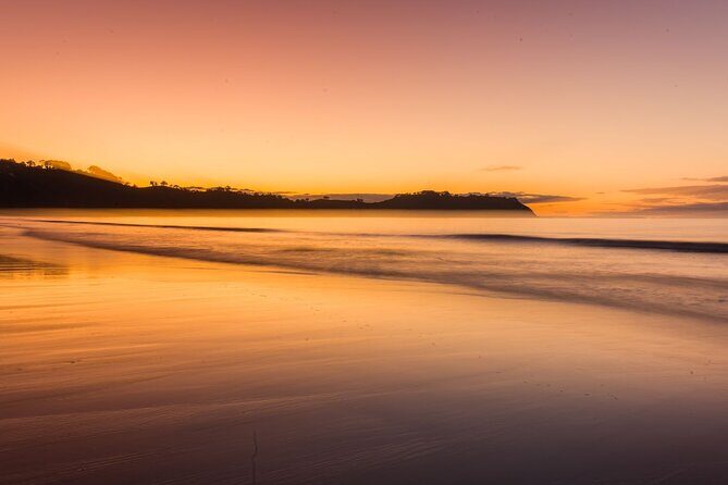 Taste of Waiheke Food and Wine Tour - FAQs