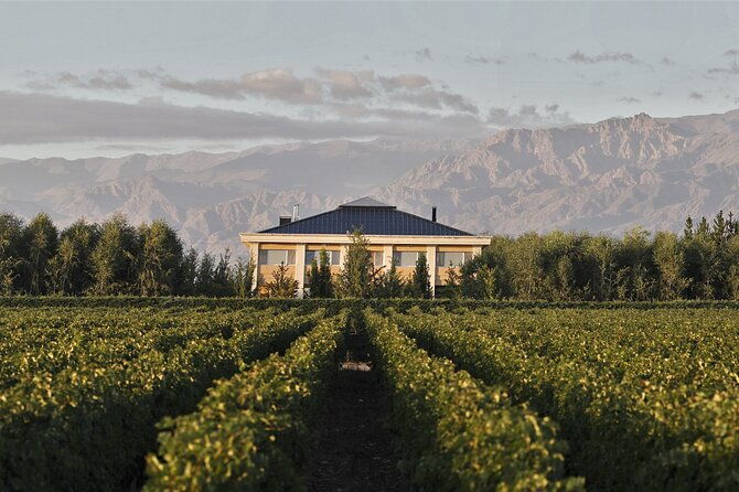 taste-routes-wines-and-oils-of-mendoza
