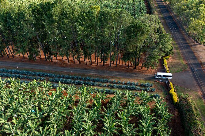 Taste the Atherton Tablelands Food & Wine Tour from Port Douglas - The Sum Up