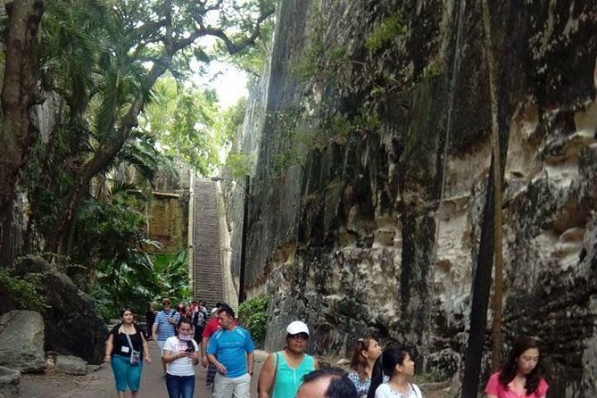 taste-the-real-nassau-flavours