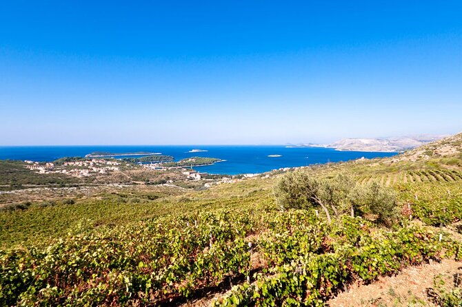 taste-tradition-unique-wine-experiences-at-family-owned-winery