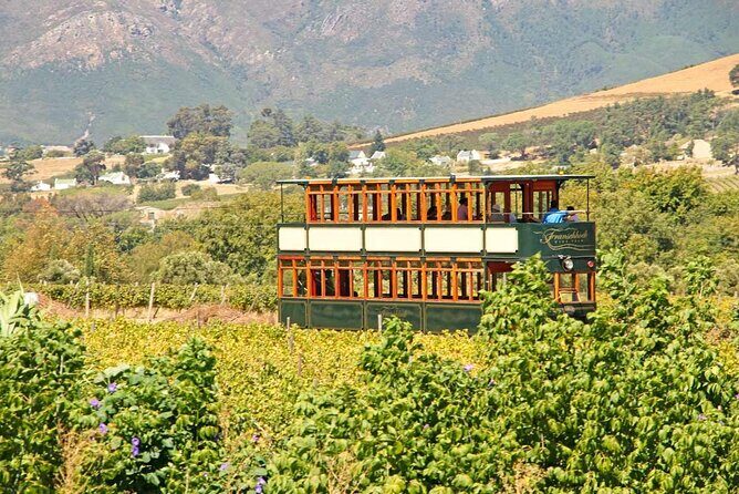 Taste + Tram the Winelands Tour: Franschhoek, Stellenbosch, Paarl - Final Thoughts