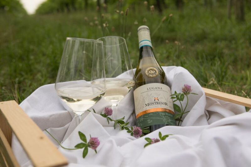 taste-with-us-bardolino-chiaretto-and-lugana-near-verona