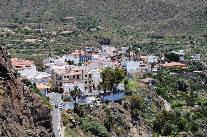 tastes-of-fuerteventura-minivan-vip-tour
