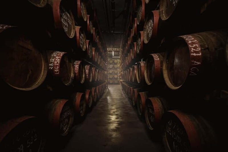 Tastes of Gran Canaria A Day of Flavours and Culture - Key Points