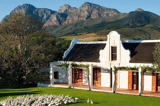 Tastes of Stellenbosch Wine Full Day Tour with Private Transfer - Key Points