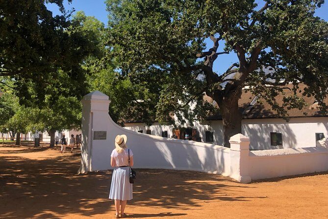 Tastes of Stellenbosch Wine Full Day Tour with Private Transfer - A Detailed Look at the Tour Experience