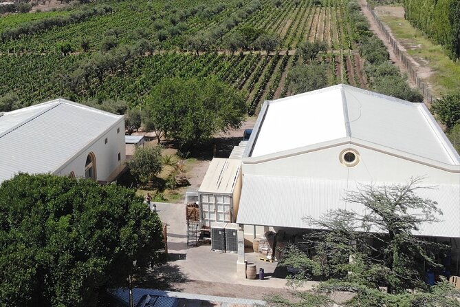 tasting-and-lunch-in-cellar-olive-tree-private-transportation