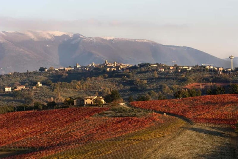 Tasting and tour of the winery - Discovering the Charm of the Umbria Winery Tour