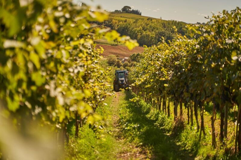 tasting-and-tour-vino-nobile-di-montepulciano