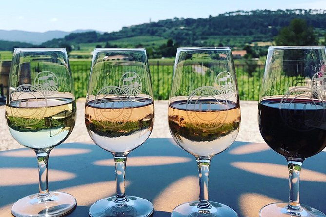 tasting-bandol-wines-visit-of-cellar-in-english