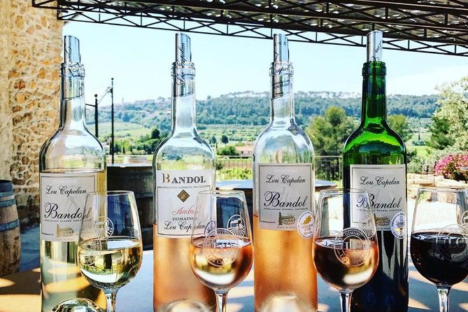 tasting-bandol-wines-visit-of-cellar-in-english