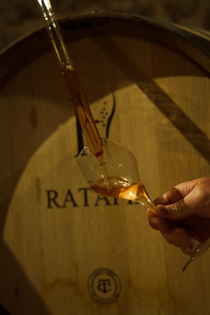 tasting-experience-discover-our-champagnes-in-marne-valley