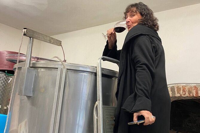 Tasting in a Tuscan Vineyard with transfer from Lucca - Who Would Love This Tour?