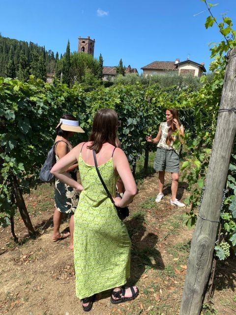 tasting-in-a-tuscan-vineyard-with-transfer-from-pisa-2