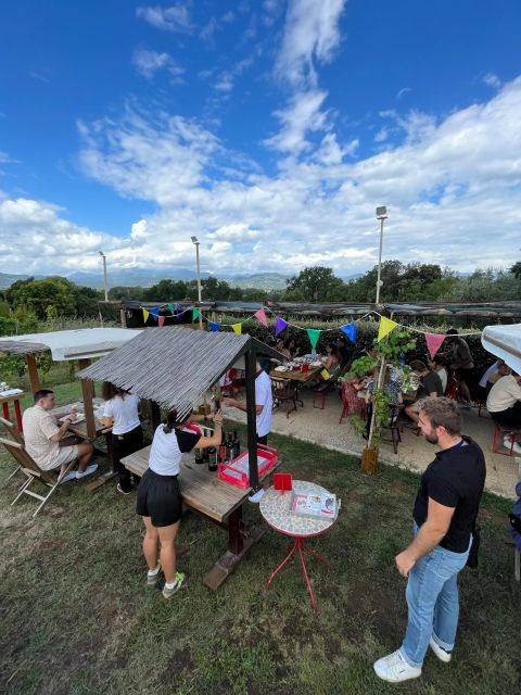 tasting-in-a-tuscan-vineyard-with-transfer-from-pisa-2