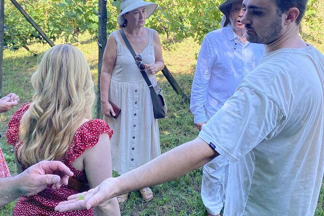 tasting-in-a-tuscan-vineyard-with-transfer-from-pisa