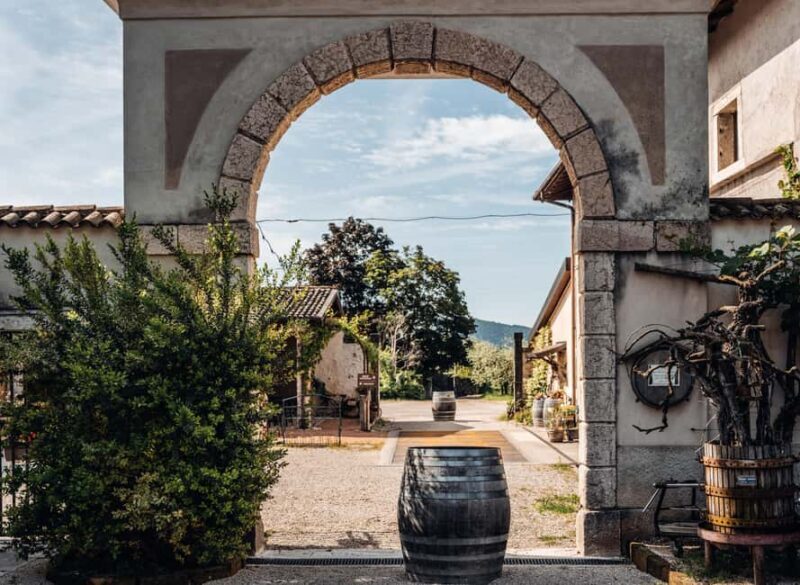 Tasting in the cellar, Caprino Veronese, Pesina - A Scenic Wine Tasting in Veneto’s Hidden Gem