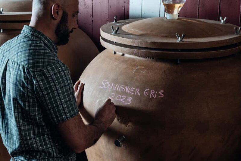 Tasting in the cellar, Caprino Veronese, Pesina - The Vineyard Trail and Additional Delights
