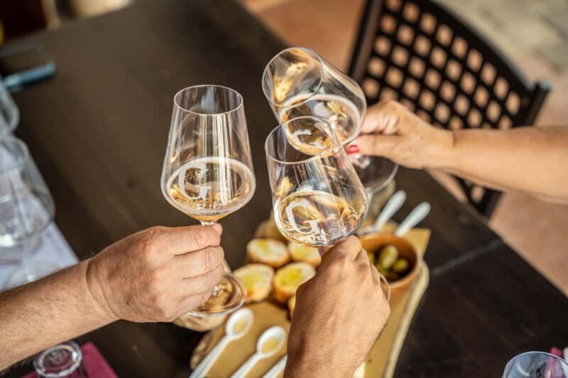 Tasting in the cellar, in Caprino Veronese, Pesina. - A Tasting Experience in Caprino Veronese: An Authentic Wine Journey