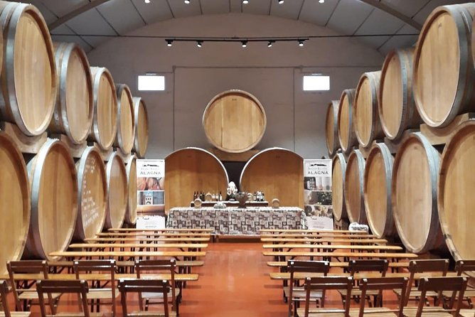 tasting-in-the-historic-cellar-of-marsala